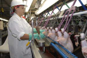 safety violations poultry processing
