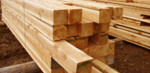lumber repeat violations