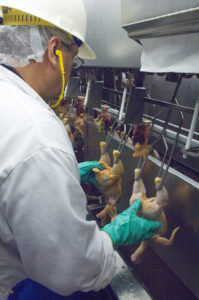 poultry worker injuries