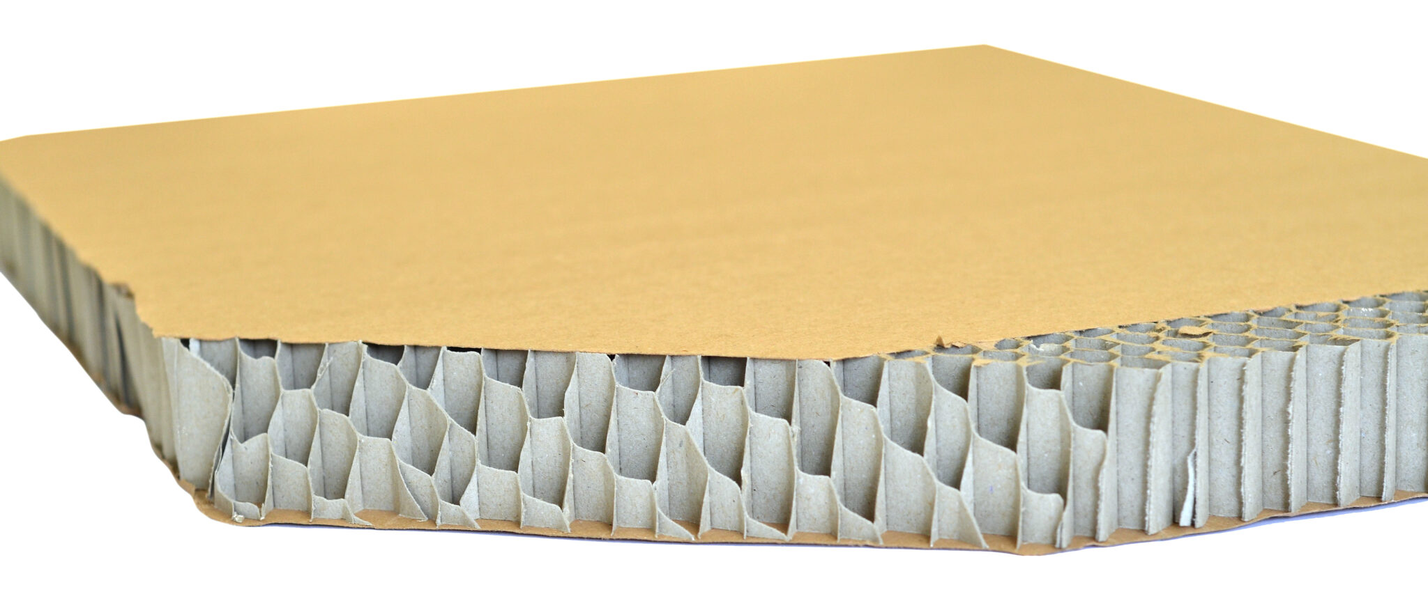 Severe Injury due to Lockout Failures at Midwestern Cardboard Plant