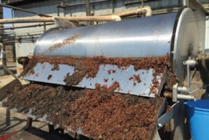 raisin factory fatality California
